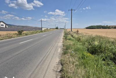 Teren de 7300 mp, în Vințu de Jos - 2