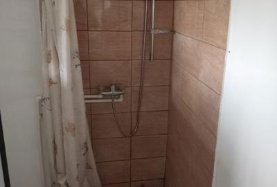 Casă cu 2 camere în Șura Mare - 3