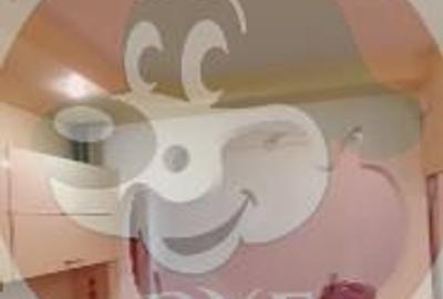 Apartament cu 2 camere decomandat în Pantelimon