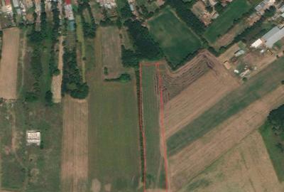 Teren de 6084 mp, în Ciocănari