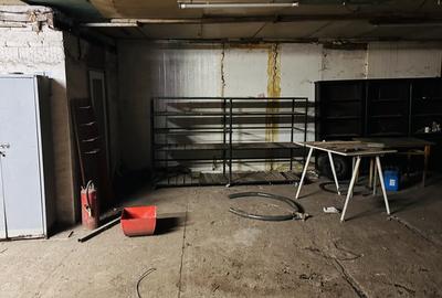 Hala industriala in Bragadiru, 600 mp , 1380 mp curte - 5