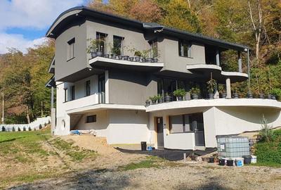 Casă cu 5 camere decomandat cu Teren 4700 Mp în Valea Roșie - 6
