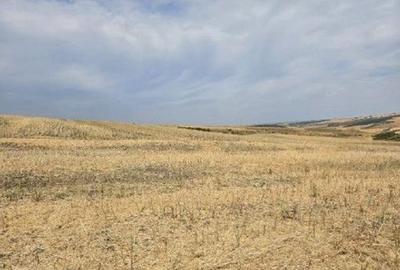 Teren Negureni, cota parte 1/8, ID: R2695094 - 16