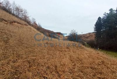 Teren Construcții extravilan de 2400 mp, în Săvădisla - 6