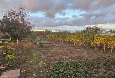 De vanzare teren + casa in Bucov Prahova - 7