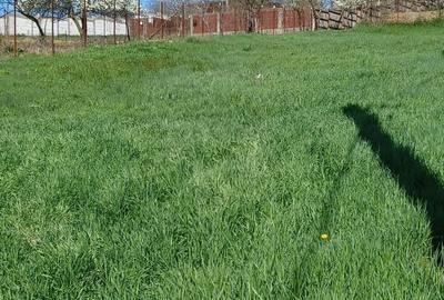 Teren de 500 mp, în Vlădești - 2