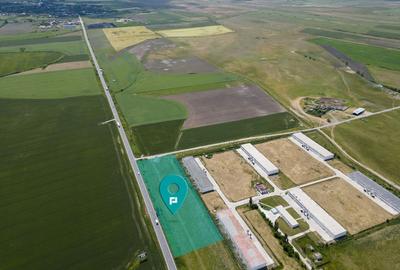 Teren Intravilan Investiții 11.600 mp Salonta