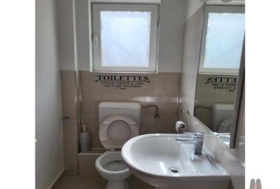 Vila Individuala Iancu Nicolae 600 teren - 8