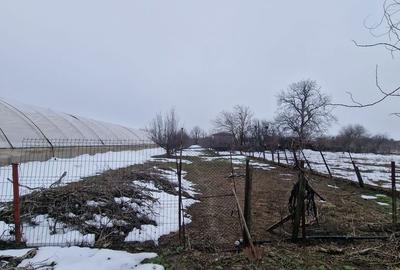 Casă cu 3 camere în Crețești - 15