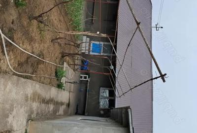 Casă cu 5 camere cu Teren 4000 Mp în Valea Nucarilor - 5