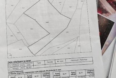 Teren de vânzare an com Ponor - 4