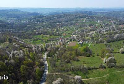 Teren de 15856 mp, în Valea Iașului - 3