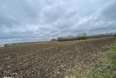 Spațiu comercial, în Central - 7