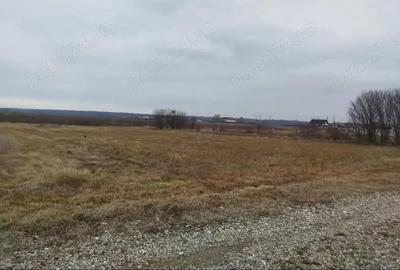 Teren de 2000 mp, în Grădiștea - 1