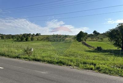 Teren Construcții intravilan de 8300 mp, în Negrești (Dobreni) - 1