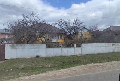 Casă cu Teren 4800 Mp în Stoișești - 5