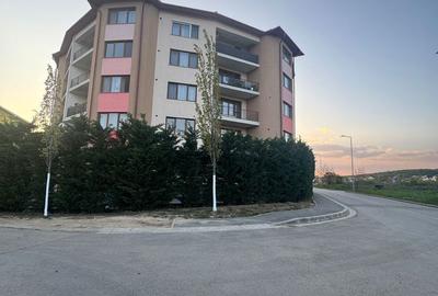 Apartament cu 2 camere semidecomandat în Paleu - 6