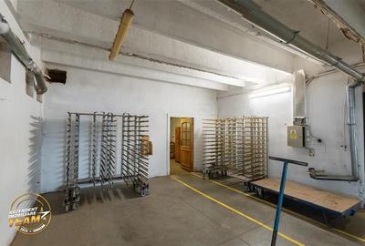 Spațiu comercial, de 1,341 mp, în Valea Crișului - 11