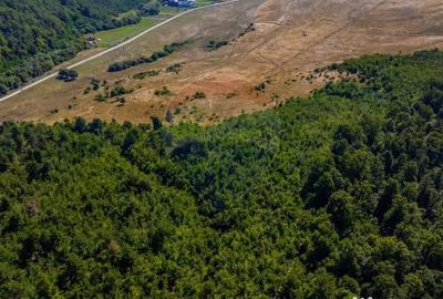 Teren de 6000 mp, în Crizbav - 1