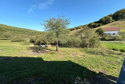 Casă individuală cu 4 camere cu Teren 800 Mp în Florești - 6