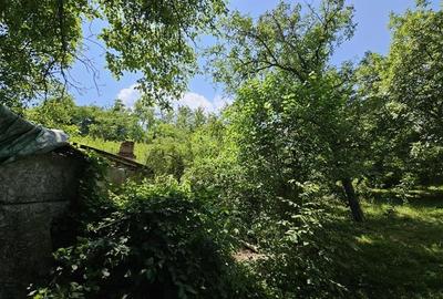 Casa spatioasa de vanzare in centrul satului Racaciuni  teren generos, livada, - 13