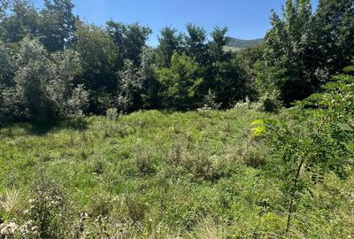 ✨ Teren intravilan exclusivist – Valea Viilor, Tocile ✨ - 8