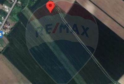 Teren de 25066 mp, în Drăgăneasca - 7