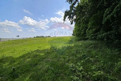 Teren Ilisesti  7000mp extravilan/ DN 17, Suceava - 13