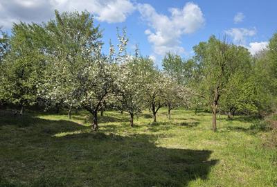Casă cu 4 camere în Cârnești - 1