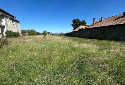 Teren intravilan, 5700mp - Teius - 4