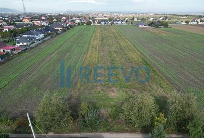 Teren de 5000 mp, în Bogdan Vodă - 2