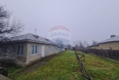 Casă  cu 3 camere de vânzare in Jiliste - 1