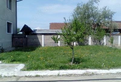 Casă individuală cu 5 camere în Băcia - 3