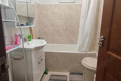 Apartament cu 2 camere semidecomandat în Săsar - 6