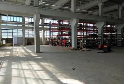 Hala/depozit/spatiu industrial Basarabia - Faur - 14