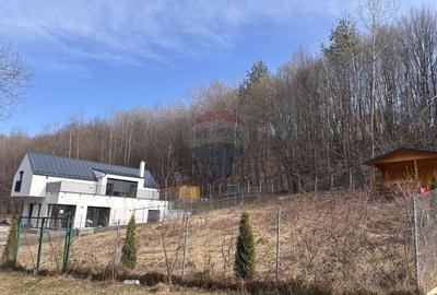 Teren intravilan de 591 mp, în Cisnădioara - 3