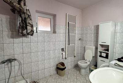 Casă individuală cu 2 camere cu Canalizare în Vucova - 11