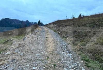 VAND 2500 MP DE TEREN INTRAVILAN LA COLIBITA - 1