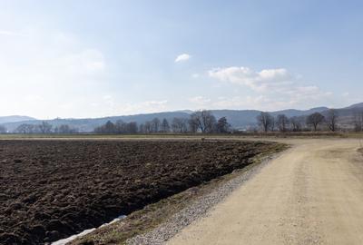 Teren agricol extravilan de 19239 mp, în Vulcan - 15