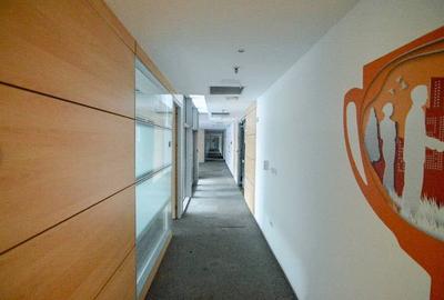 RAMS Business Center, Basarabia, 200 - 2000 mp  0% comision! - 14