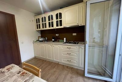 Apartament o camera, gradina plus parcare incluse in pret - 3