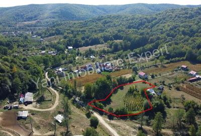 Teren de 3565 mp, în Tutana - 9