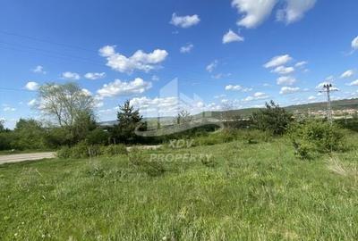 Teren intravilan 12631 mp , Sibiu/ Parc Industrial Selimbar - 11