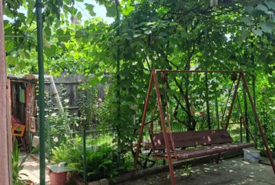 Casă cu 4 camere în Bariera Vâlcii - 13