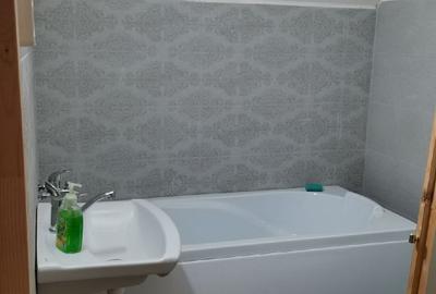 Vând casa  cu teren in com. Buces, sat Stanija, jud. Hunedoara - 8