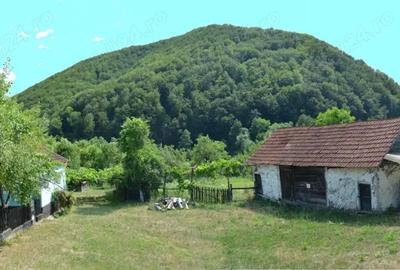 Casa ?araneasca sat Micane?ti (Zam-HD) cu anexe vechi tradi?ionale ?i poten?ial turistic - 2