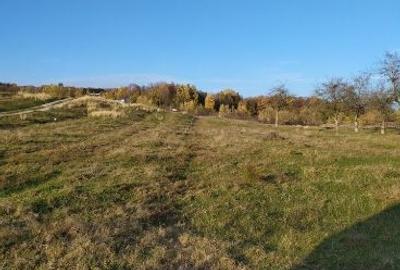 Teren Construcții intravilan de 2490 mp, în Voila - 5