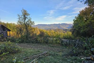 Teren de 949 mp, în Sălătrucel - 11