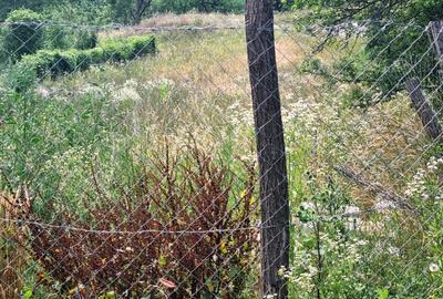 Teren Construcții intravilan de 5700 mp, în Câmpulung Muscel - 16