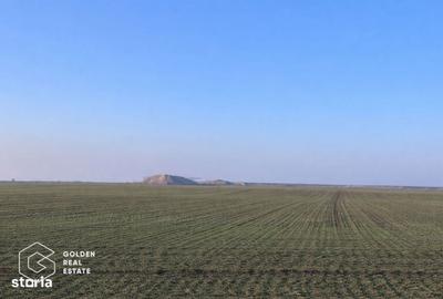 Teren de 32000 mp, în Vladimirescu